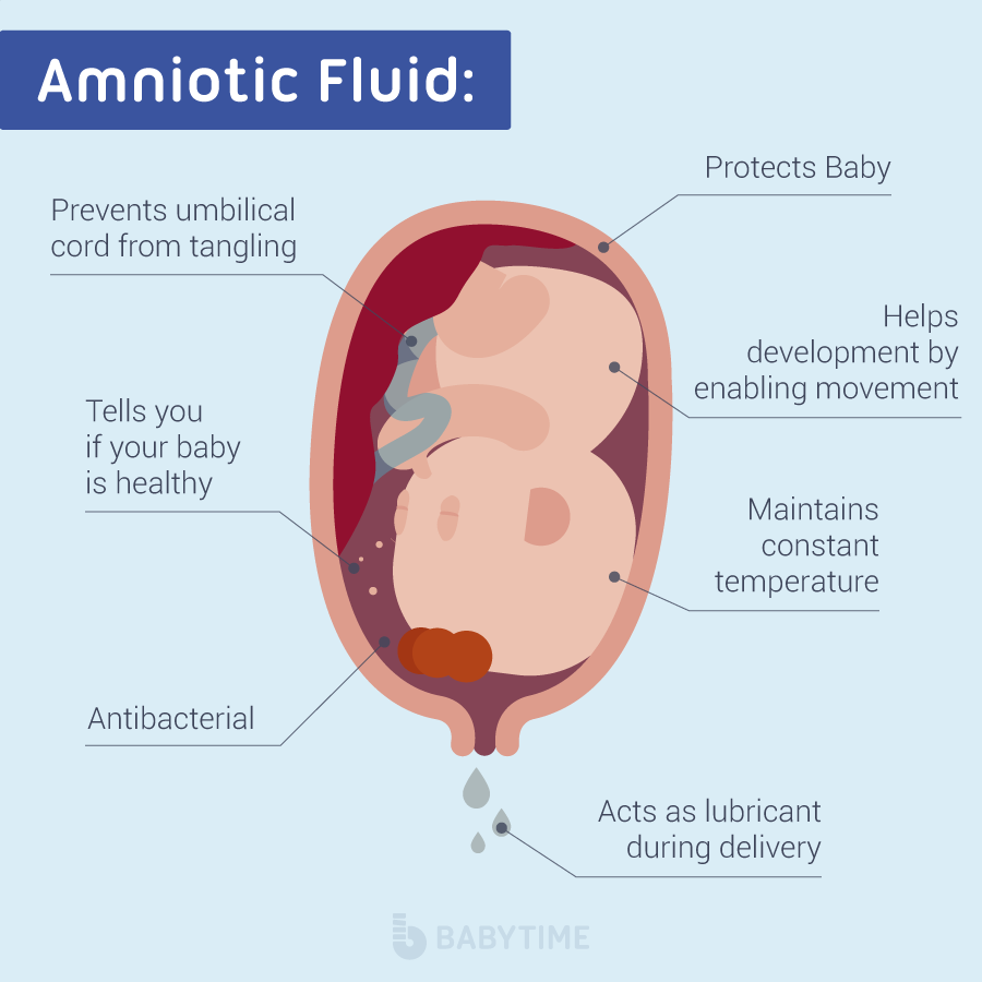 no amniotic fluid