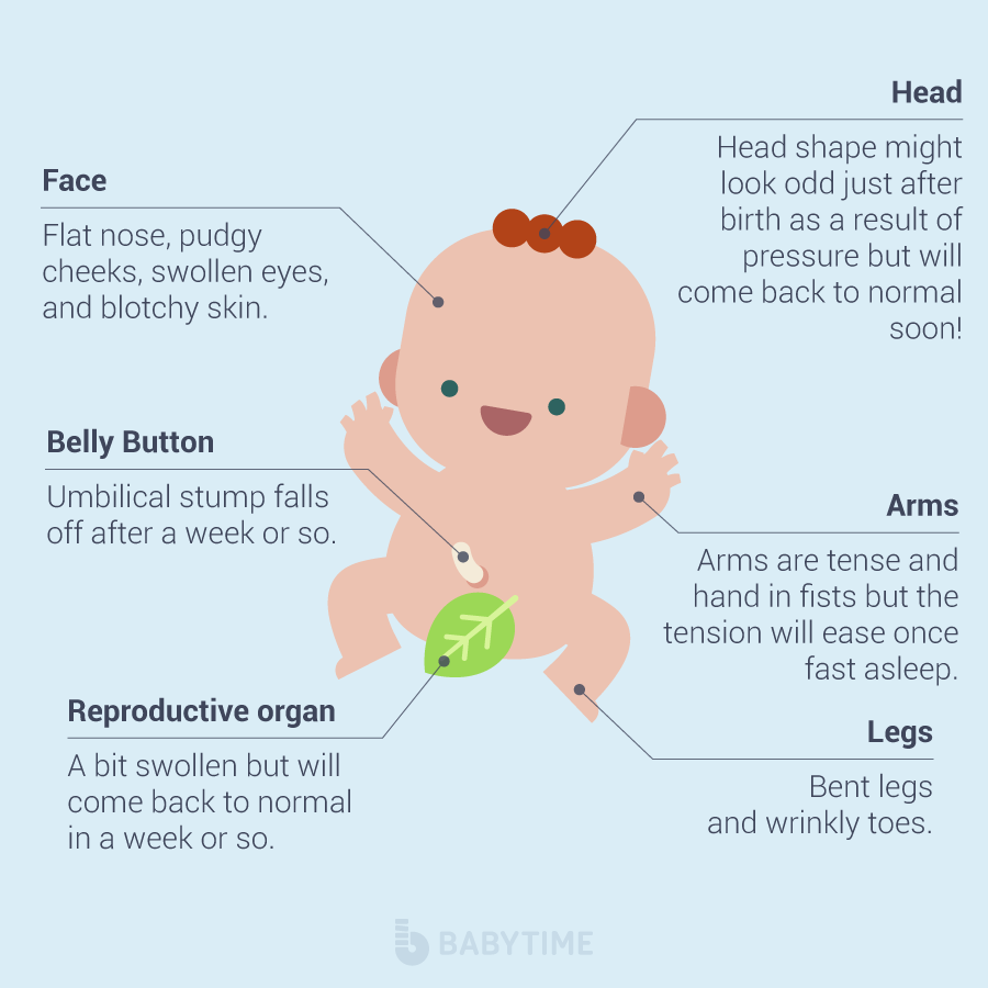 11 Baby Body Facts – BabyTime